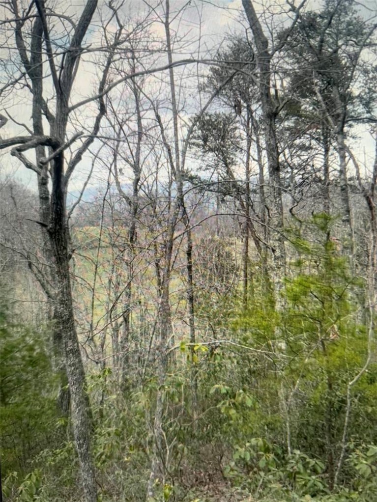 1130 Packs Mountain Ridge Road Taylors, SC 29687 - Photo 8 of 10