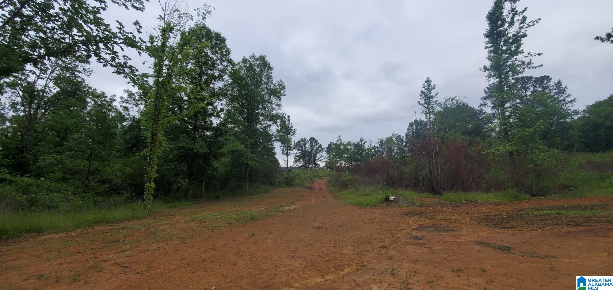 0 Bailey Springs Road Ohatchee, AL 36271 - Photo 5 of 10