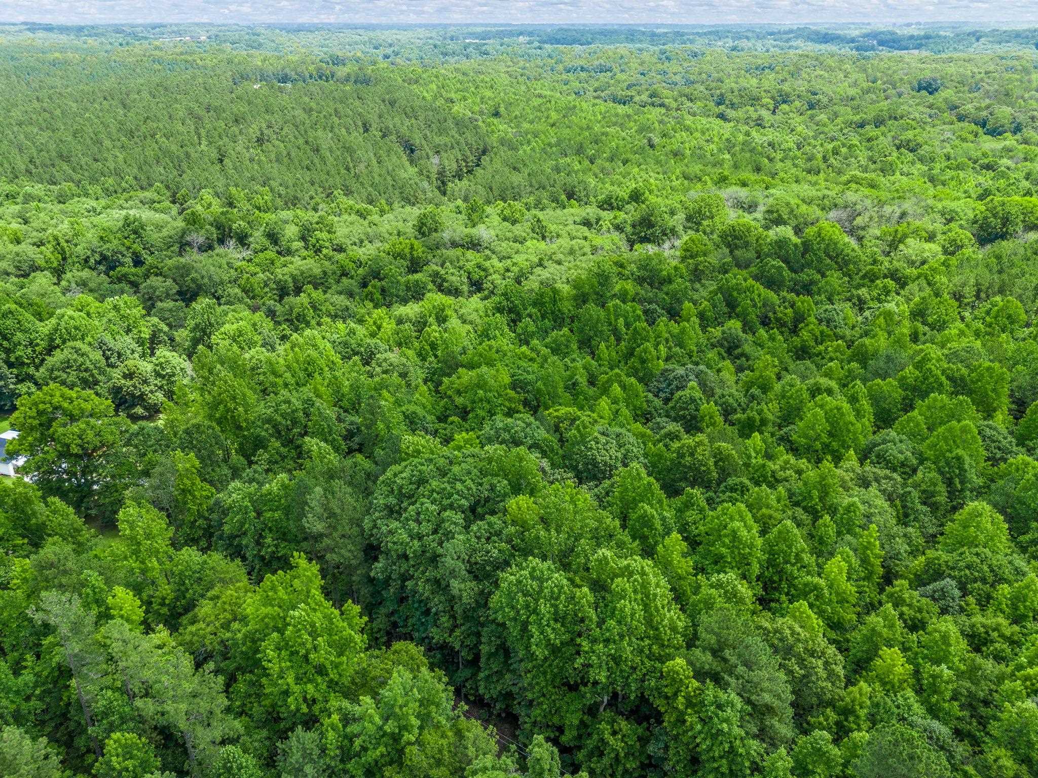 0 Bowater Pass Fountain Inn, SC 29644 - Photo 11 of 17