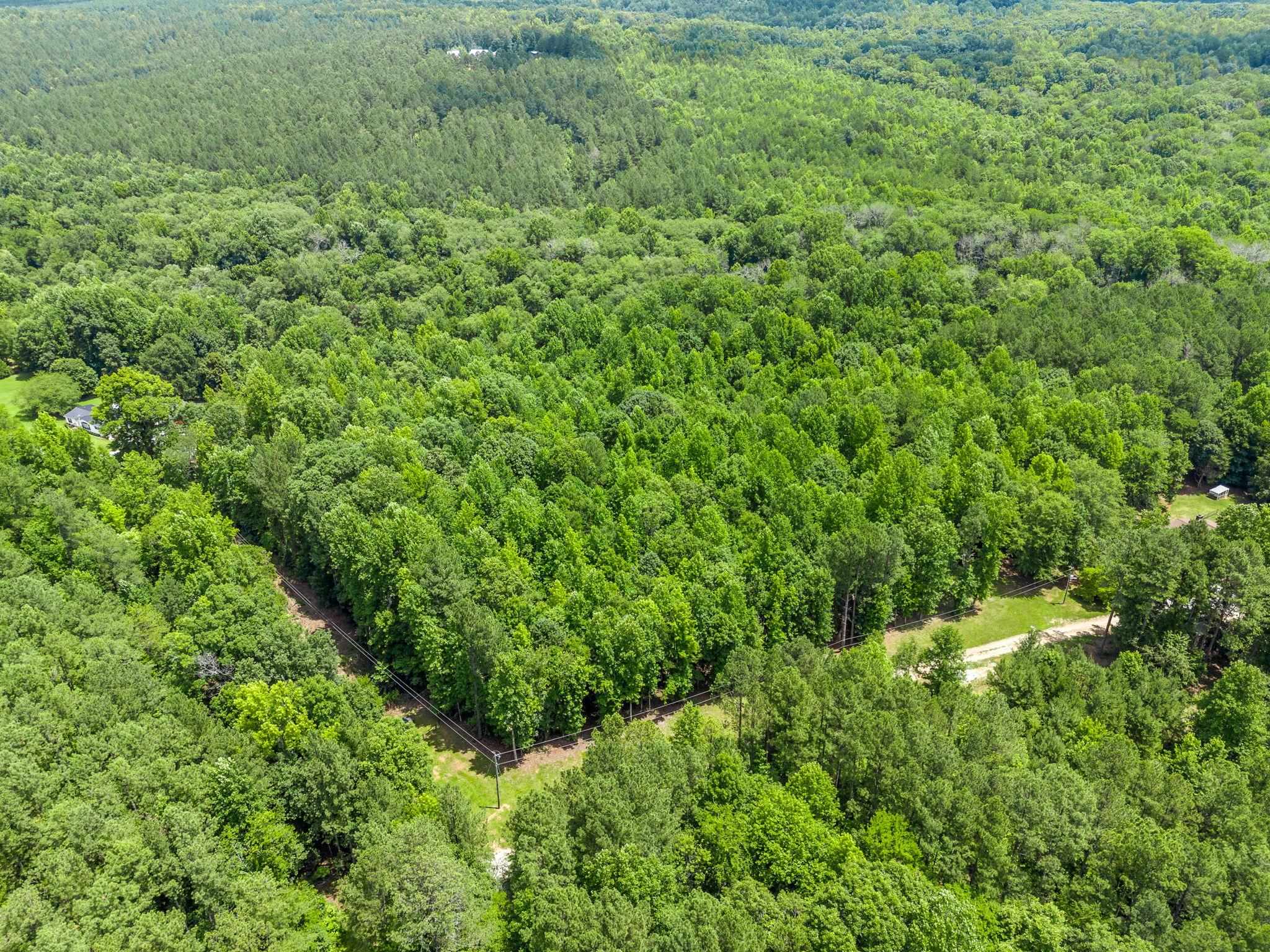 0 Bowater Pass Fountain Inn, SC 29644 - Photo 12 of 17