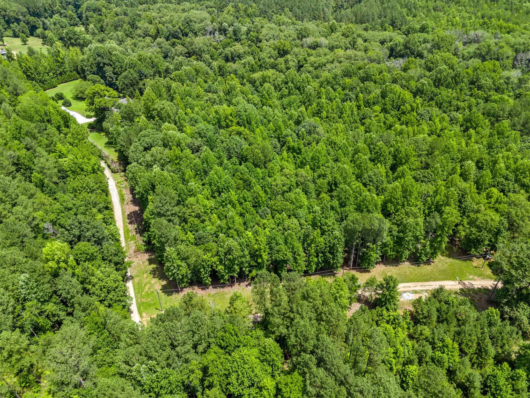 0 Bowater Pass Fountain Inn, SC 29644 - Photo 13 of 17