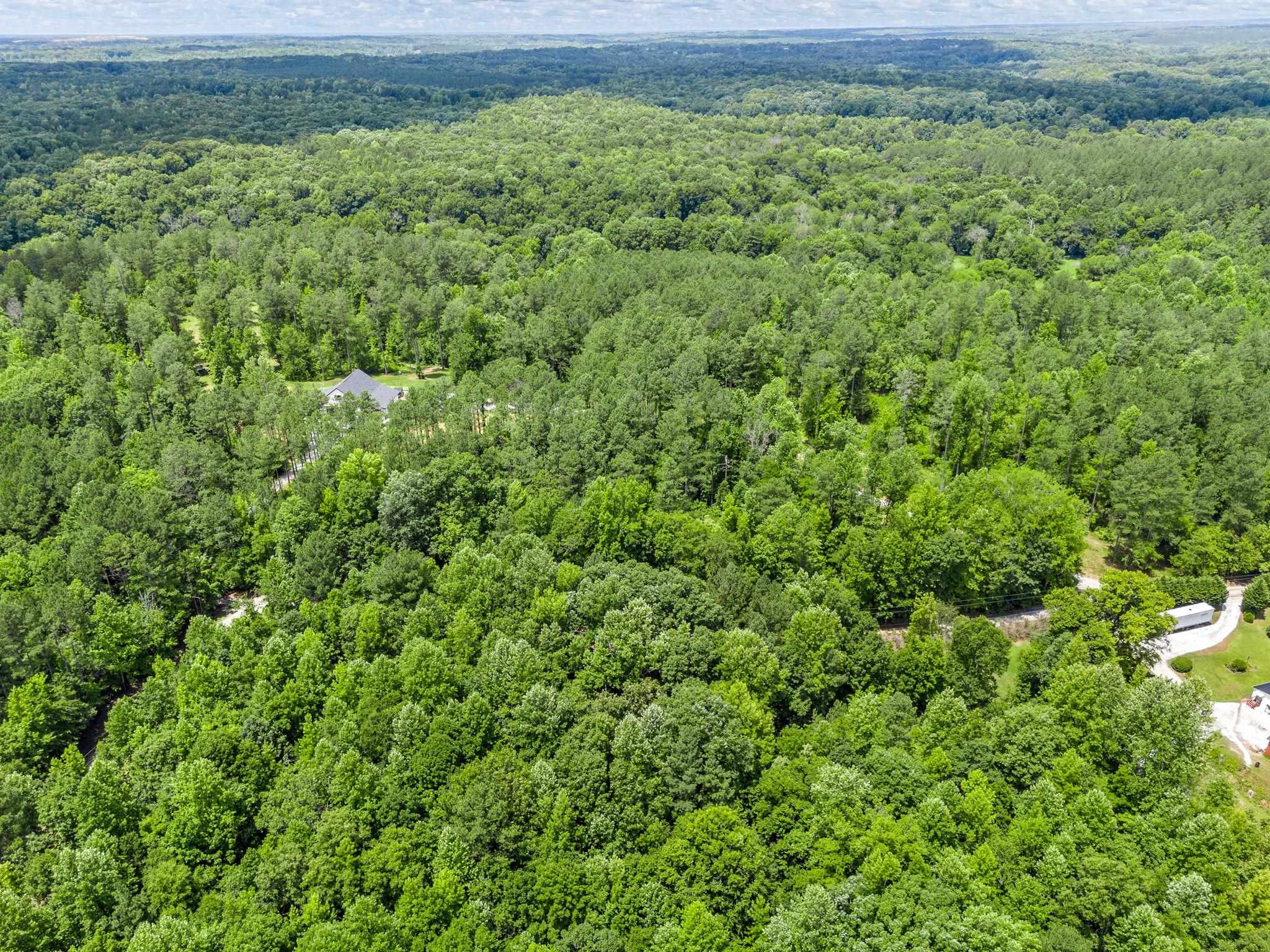 0 Bowater Pass Fountain Inn, SC 29644 - Photo 14 of 17