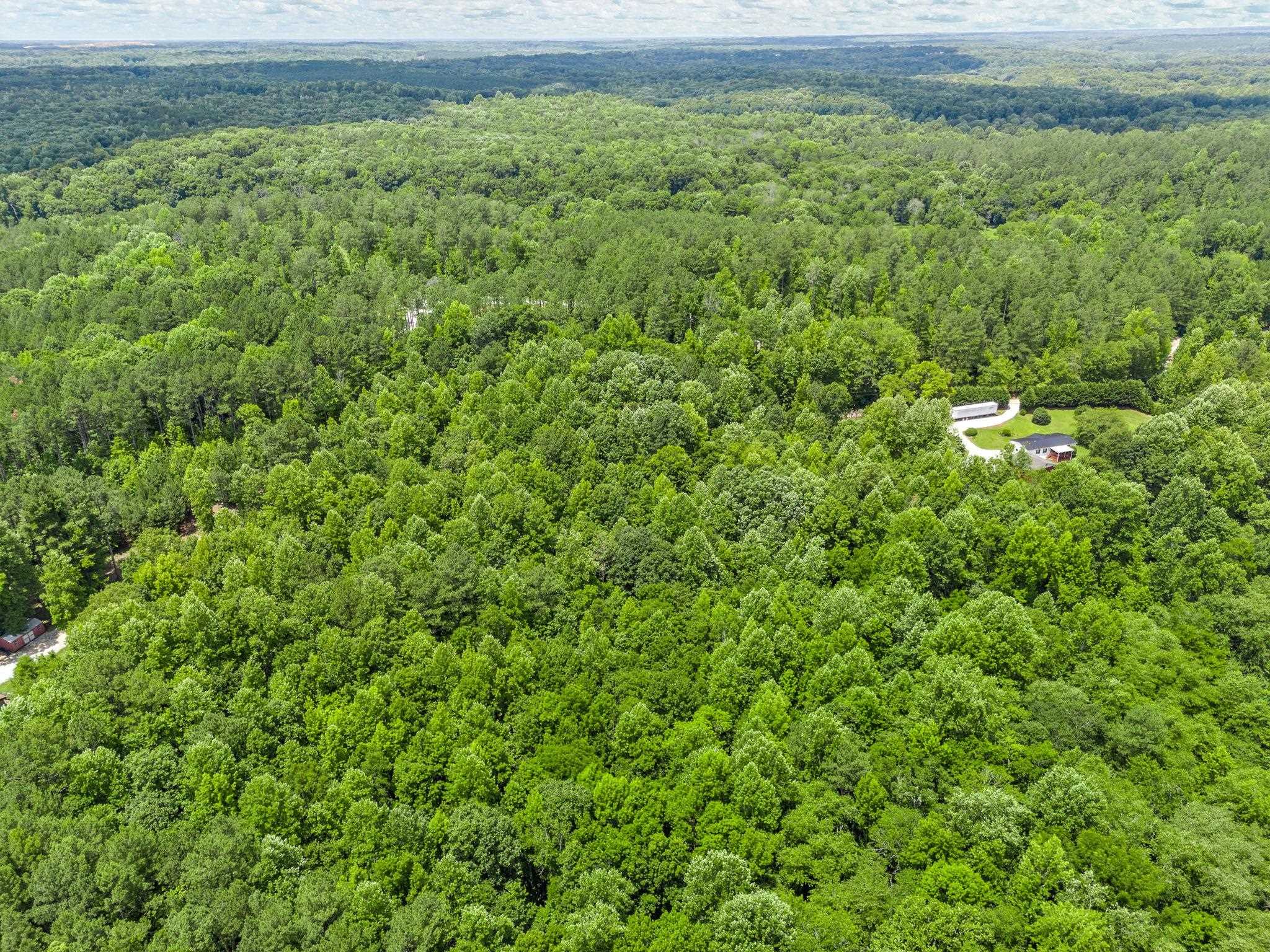 0 Bowater Pass Fountain Inn, SC 29644 - Photo 15 of 17