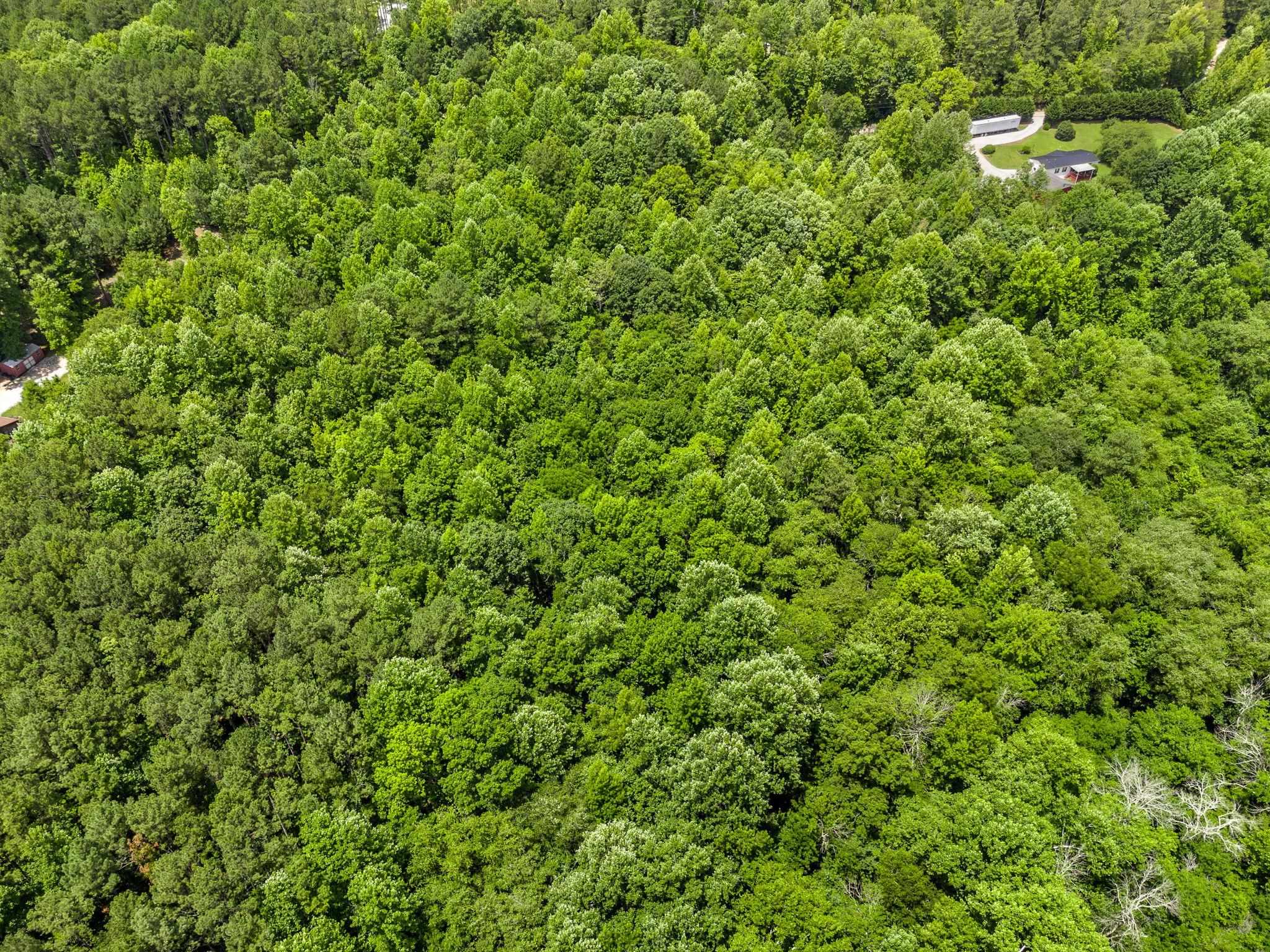 0 Bowater Pass Fountain Inn, SC 29644 - Photo 16 of 17