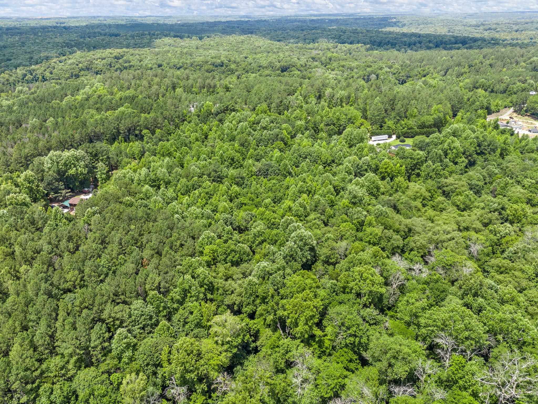 0 Bowater Pass Fountain Inn, SC 29644 - Photo 17 of 17