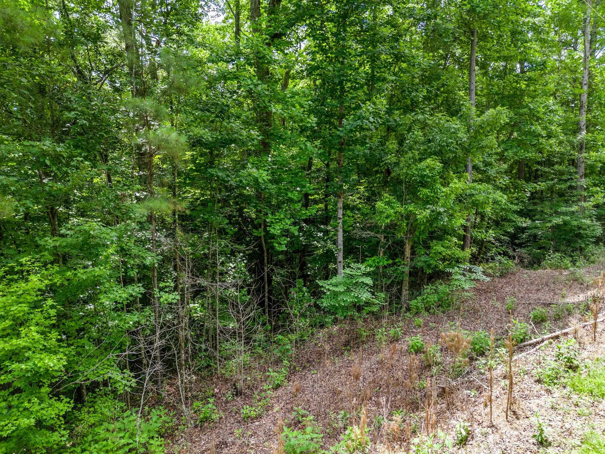 0 Bowater Pass Fountain Inn, SC 29644 - Photo 2 of 17