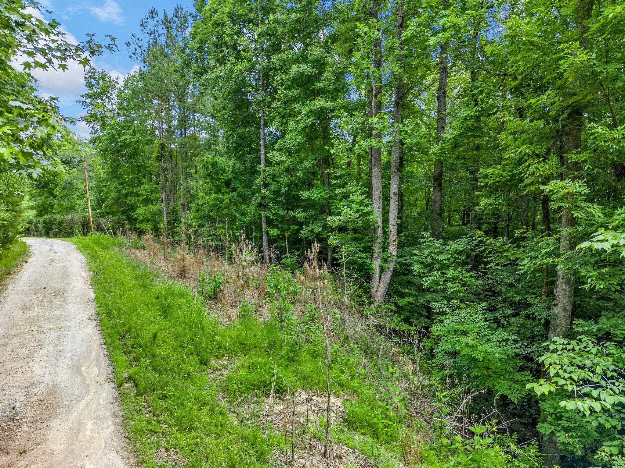 0 Bowater Pass Fountain Inn, SC 29644 - Photo 4 of 17