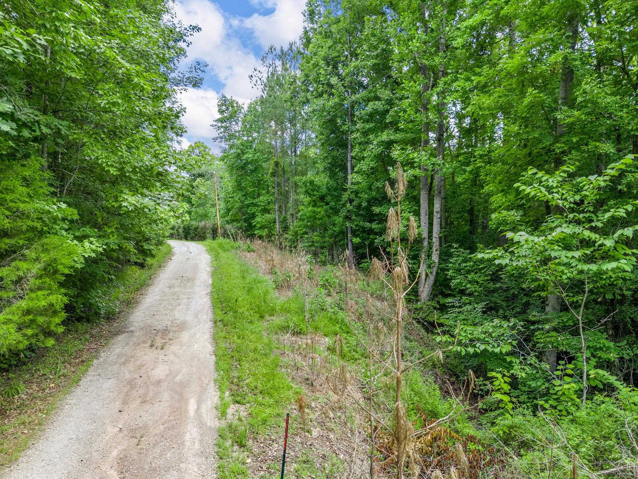 0 Bowater Pass Fountain Inn, SC 29644 - Photo 5 of 17