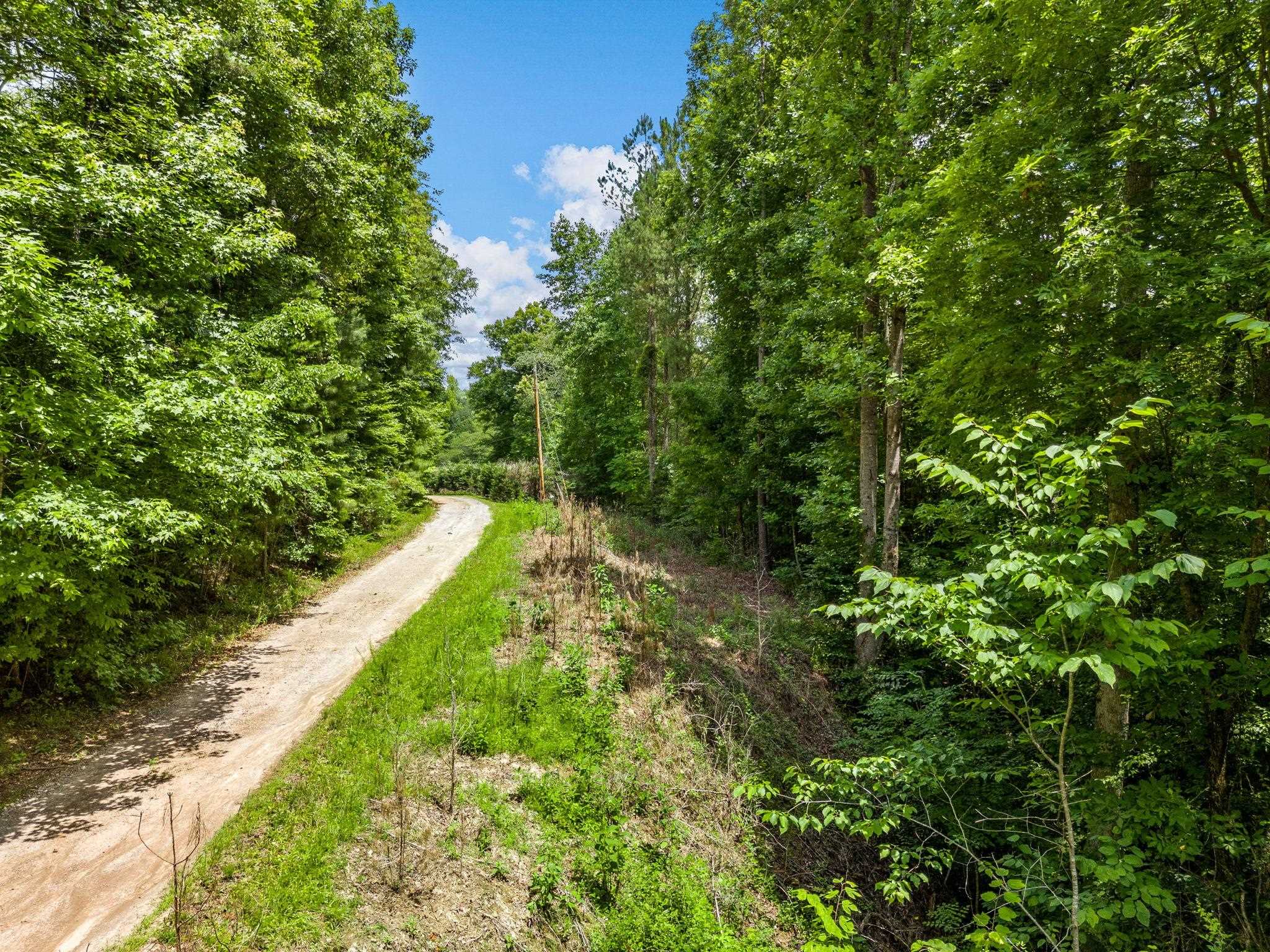 0 Bowater Pass Fountain Inn, SC 29644 - Photo 6 of 17