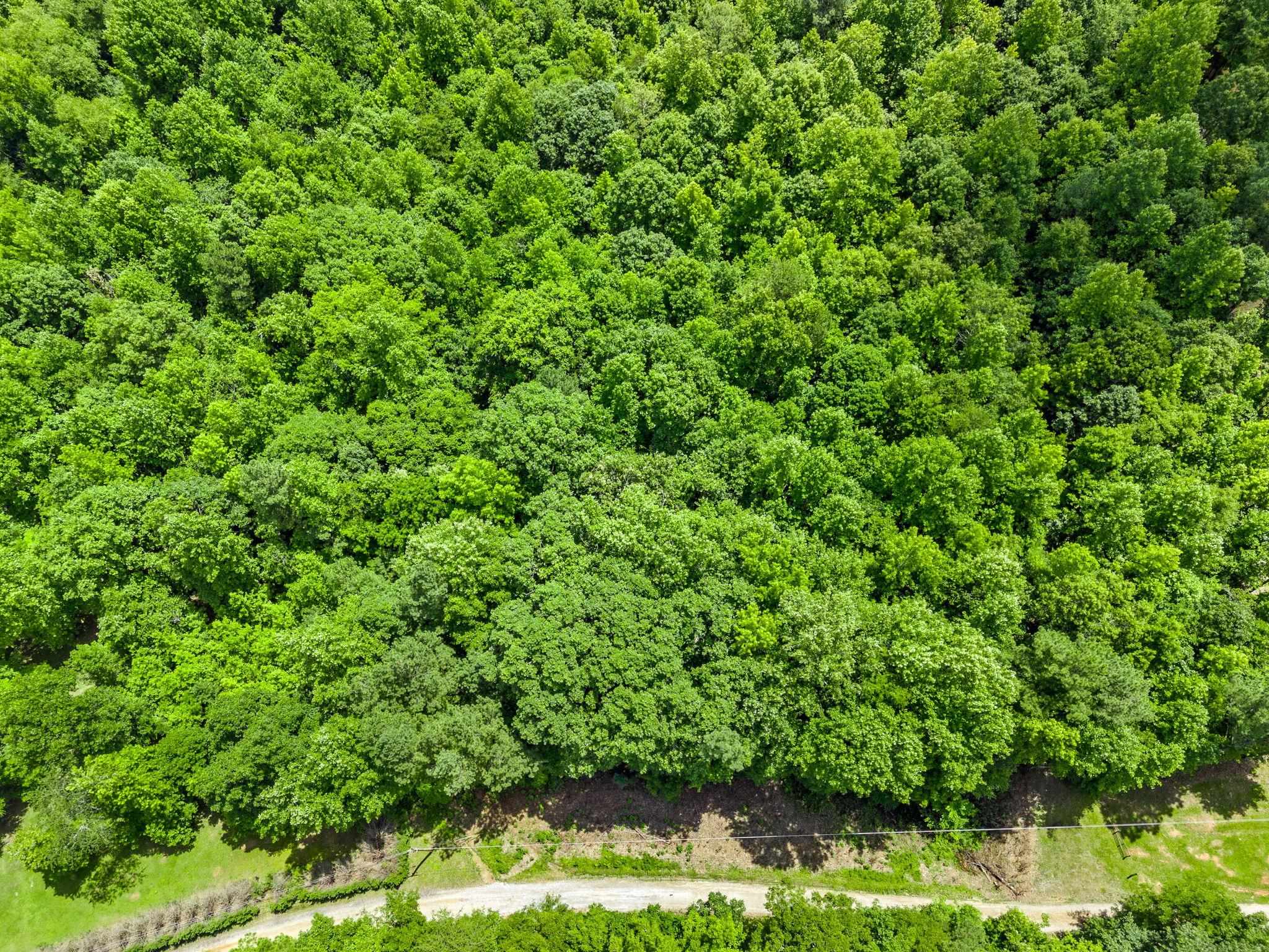 0 Bowater Pass Fountain Inn, SC 29644 - Photo 7 of 17