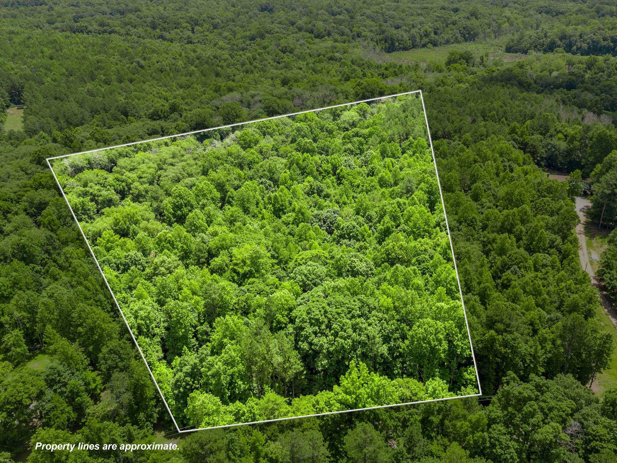 0 Bowater Pass Fountain Inn, SC 29644 - Photo 8 of 17