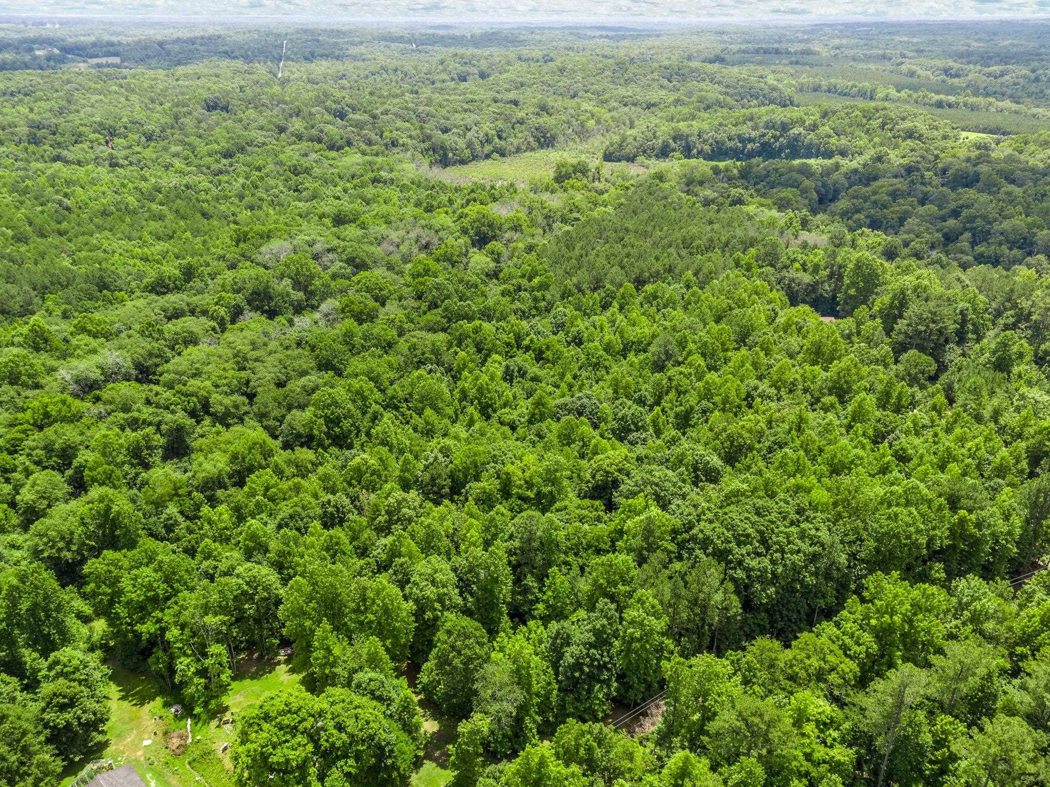 0 Bowater Pass Fountain Inn, SC 29644 - Photo 9 of 17