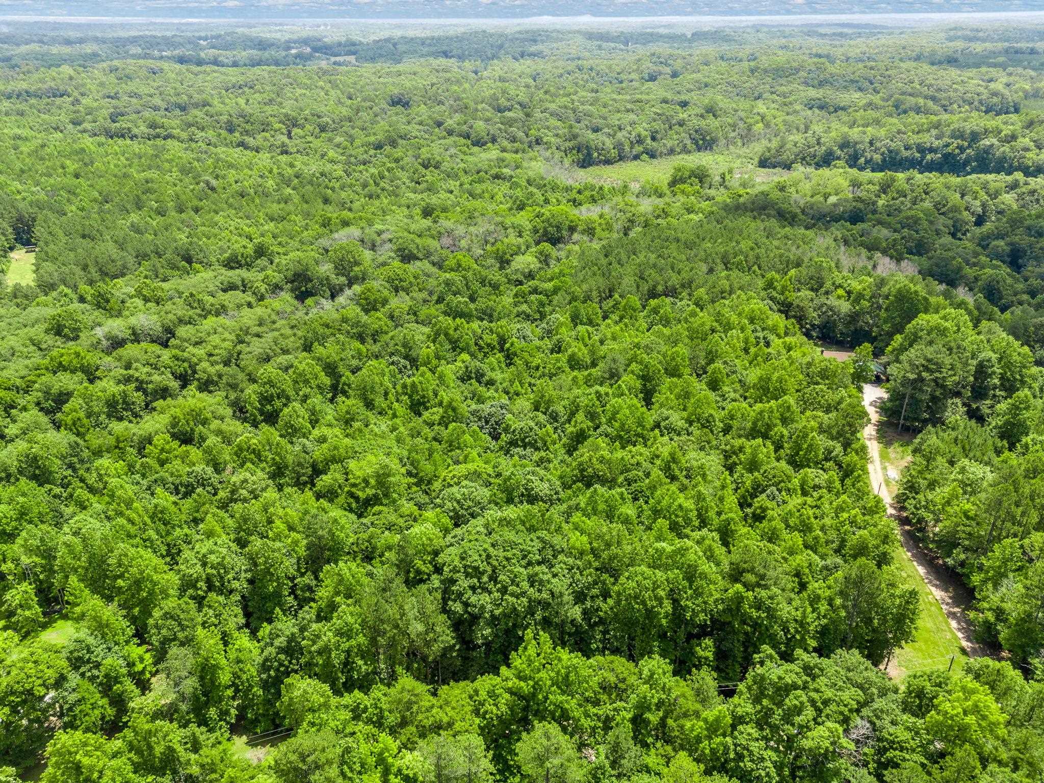 0 Bowater Pass Fountain Inn, SC 29644 - Photo 10 of 17