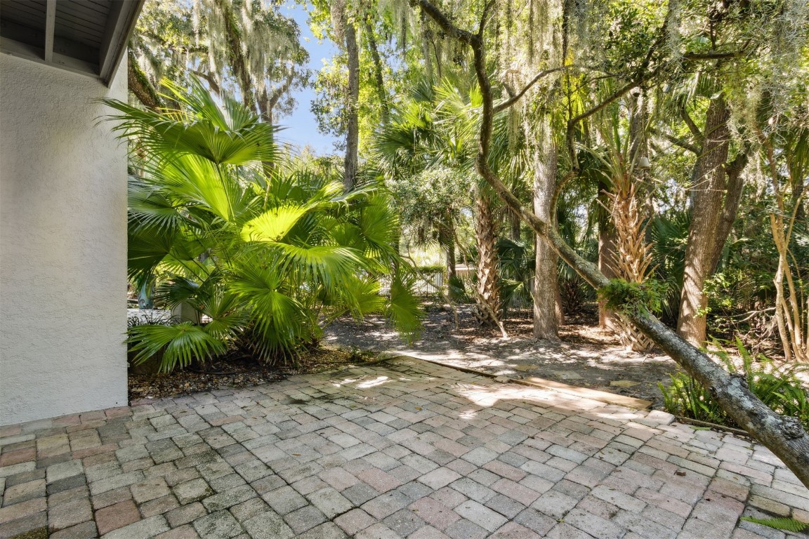 3028 Sea Marsh Road, Unit 3028 Fernandina Beach, FL 32034 - Photo 22 of 39 a view of plants and trees