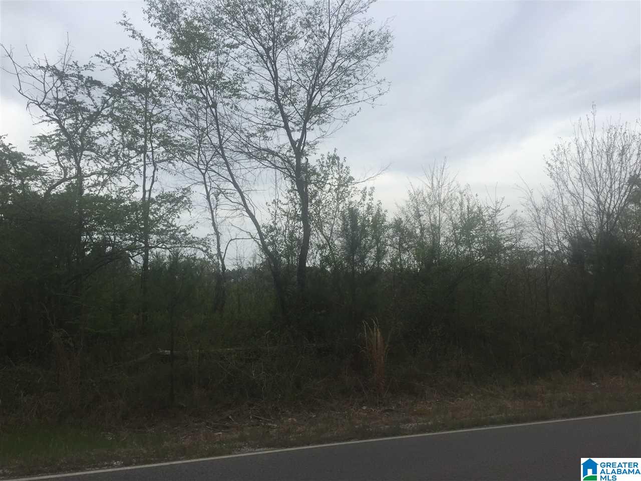 12 Highway Of Bishop Ridge Road, Unit CORNER West Blocton, AL 35184 - Photo 3 of 6