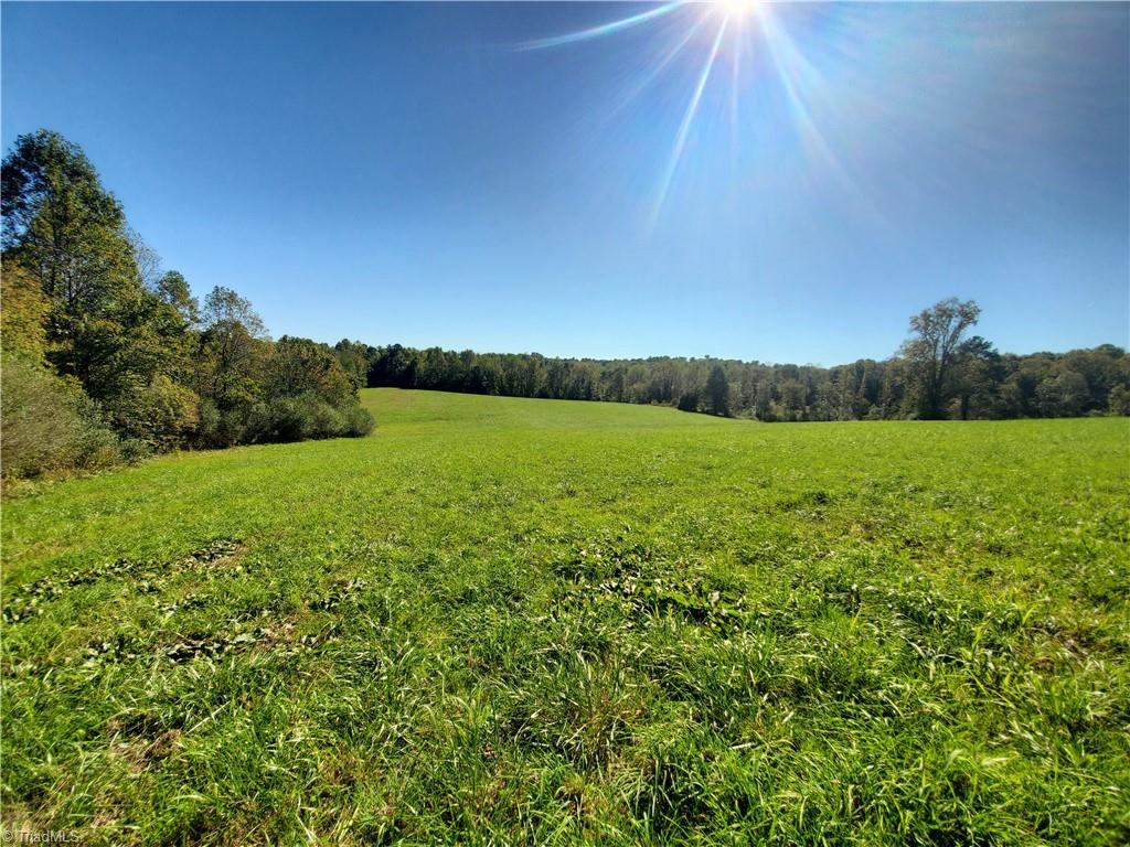 0 Cane Mill Road Ronda, NC 28670 - Photo 1 of 13 Gallery Image 1