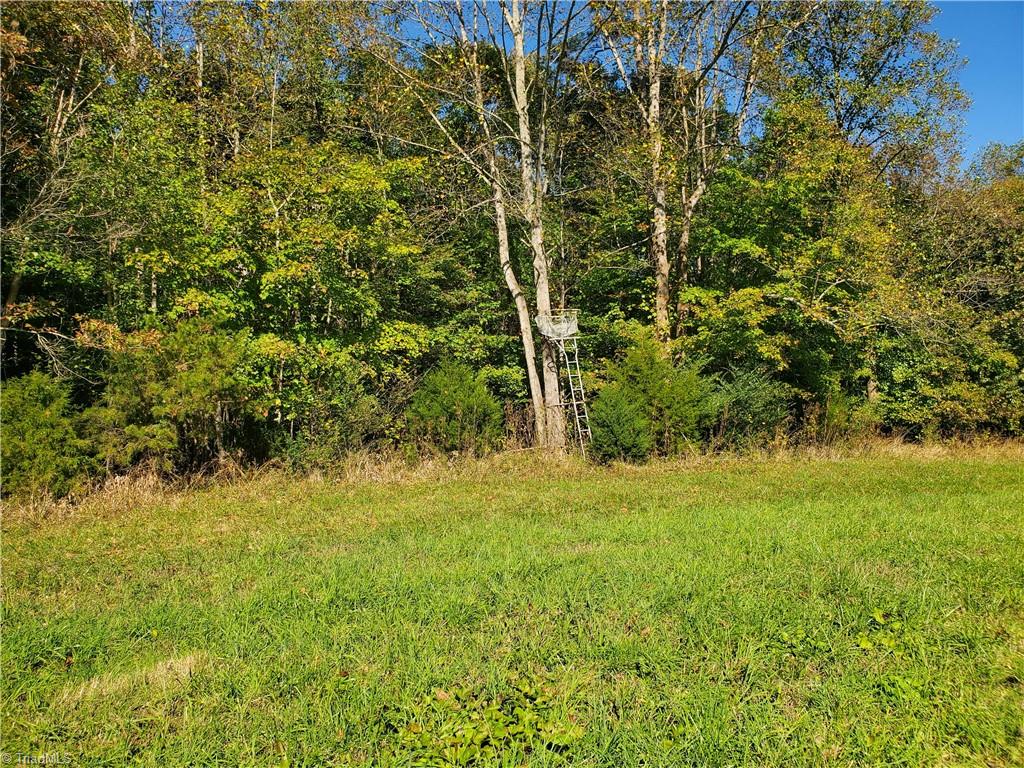 0 Cane Mill Road Ronda, NC 28670 - Photo 12 of 13 Gallery Image 12