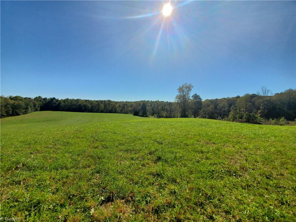 0 Cane Mill Road Ronda, NC 28670 - Photo 13 of 13 Gallery Image 13
