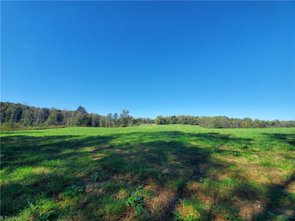 0 Cane Mill Road Ronda, NC 28670 - Photo 3 of 13 Gallery Image 3