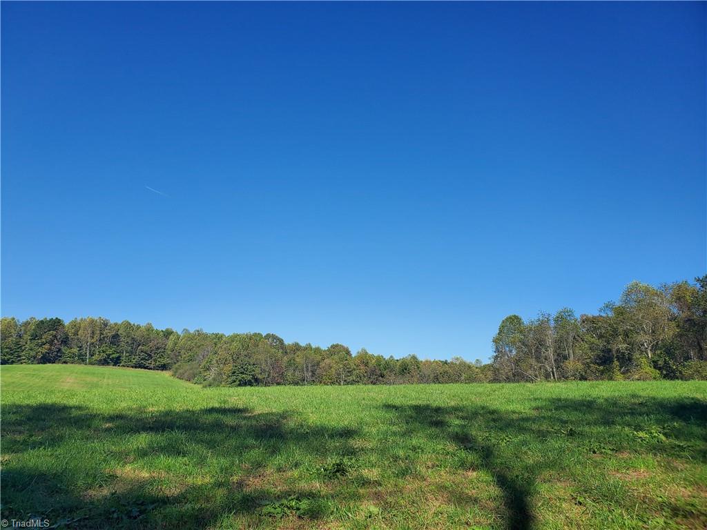 0 Cane Mill Road Ronda, NC 28670 - Photo 4 of 13 Gallery Image 4