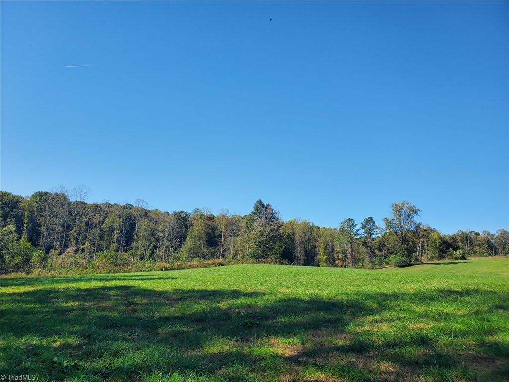 0 Cane Mill Road Ronda, NC 28670 - Photo 5 of 13 Gallery Image 5