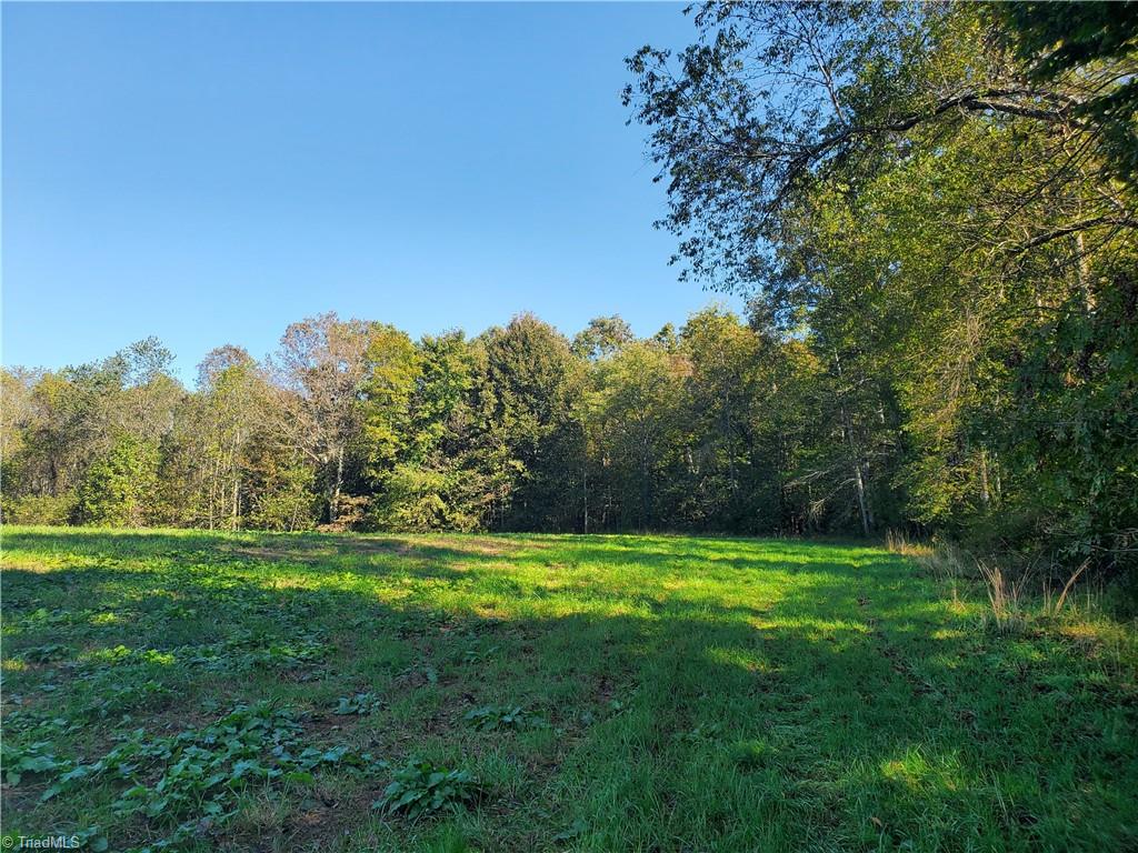 0 Cane Mill Road Ronda, NC 28670 - Photo 6 of 13 Gallery Image 6
