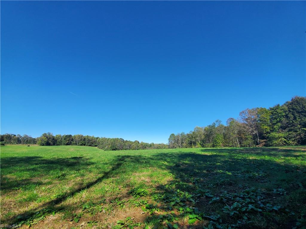 0 Cane Mill Road Ronda, NC 28670 - Photo 7 of 13 Gallery Image 7