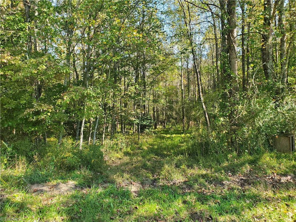 0 Cane Mill Road Ronda, NC 28670 - Photo 8 of 13 Gallery Image 8