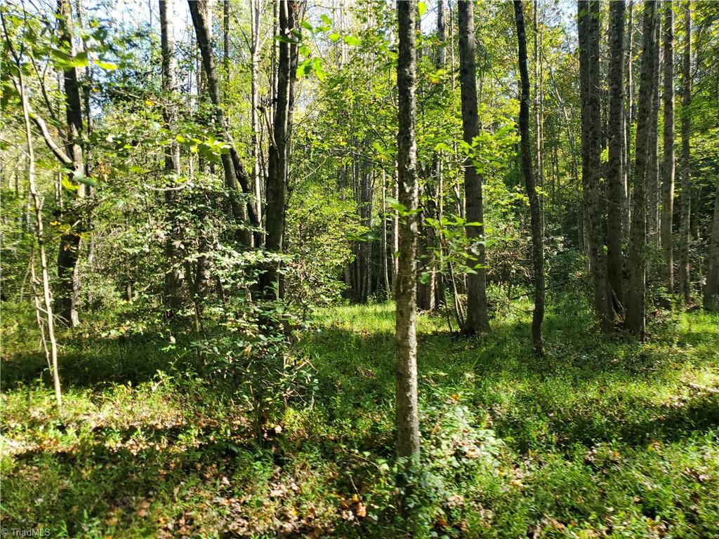 0 Cane Mill Road Ronda, NC 28670 - Photo 10 of 13 Gallery Image 10