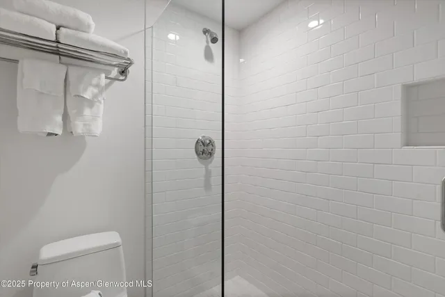 a bathroom with a shower and toilet