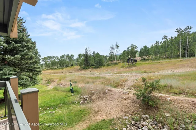 a view of field with trees in background