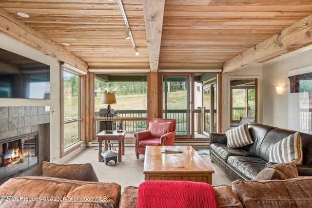 a living room with furniture or outdoor view and a fireplace
