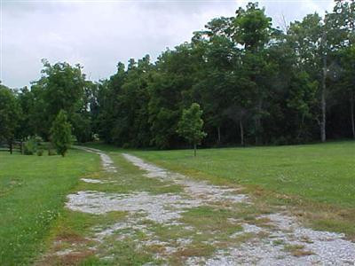 280 McNease Road Paris, KY 40361 - Photo 30 of 41 droveway to road