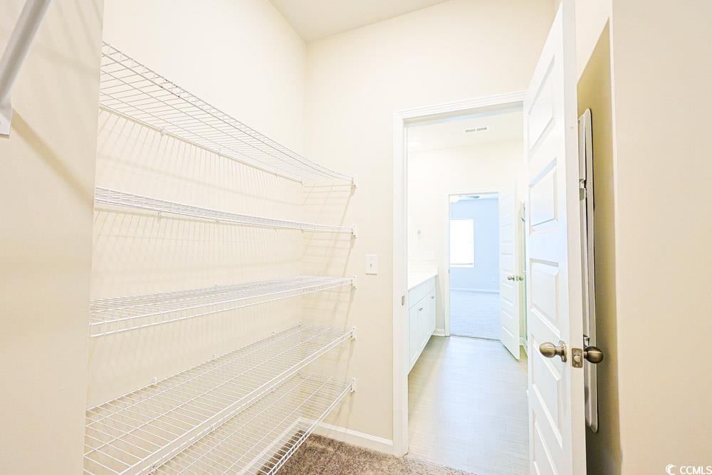 1560 Swing Bridge Way Myrtle Beach, SC 29588 - Photo 12 of 35 View of pantry