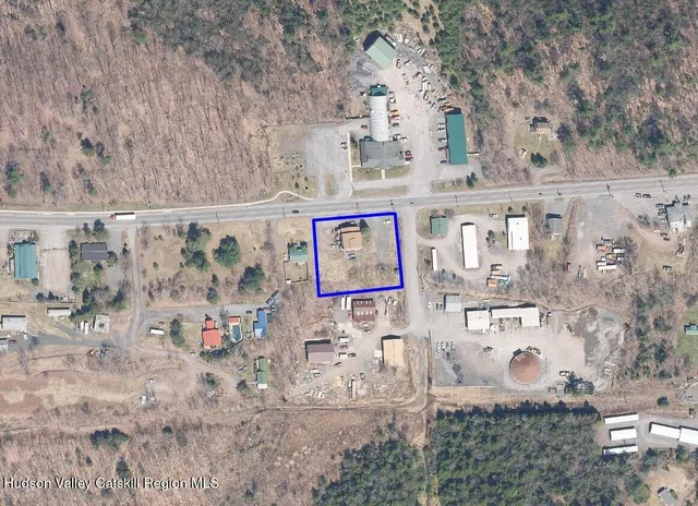 a view of a tree in a yard