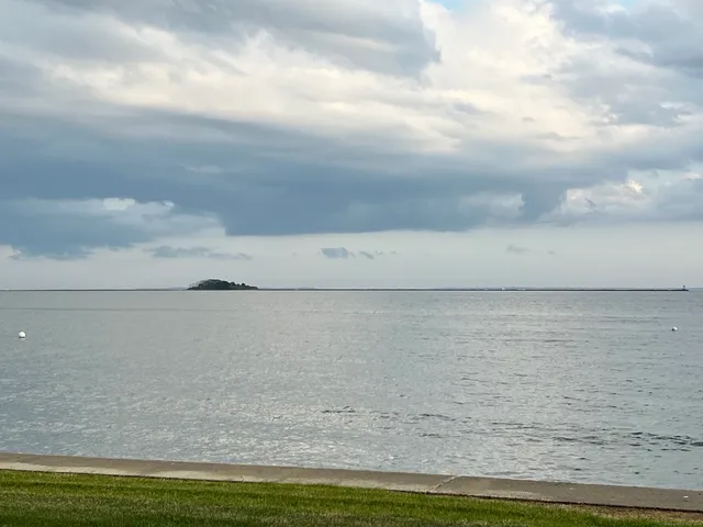 an empty room with wooden floor fireplace and windows