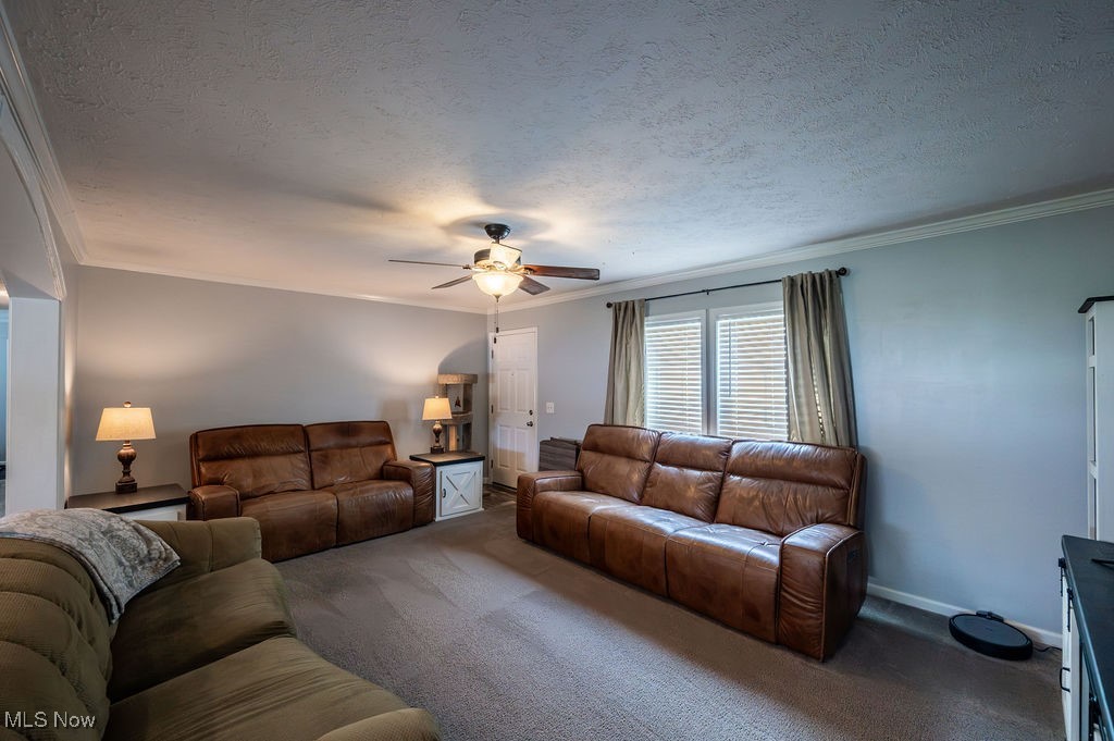 560 Wine Road Elizabeth, WV 26143 - Photo 22 of 50 Living area with crown molding, a textured ceiling, a ceiling fan, and carpet