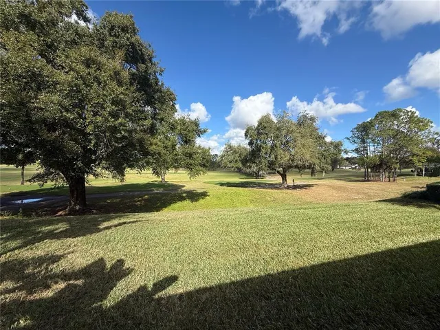 a view of yard with trees