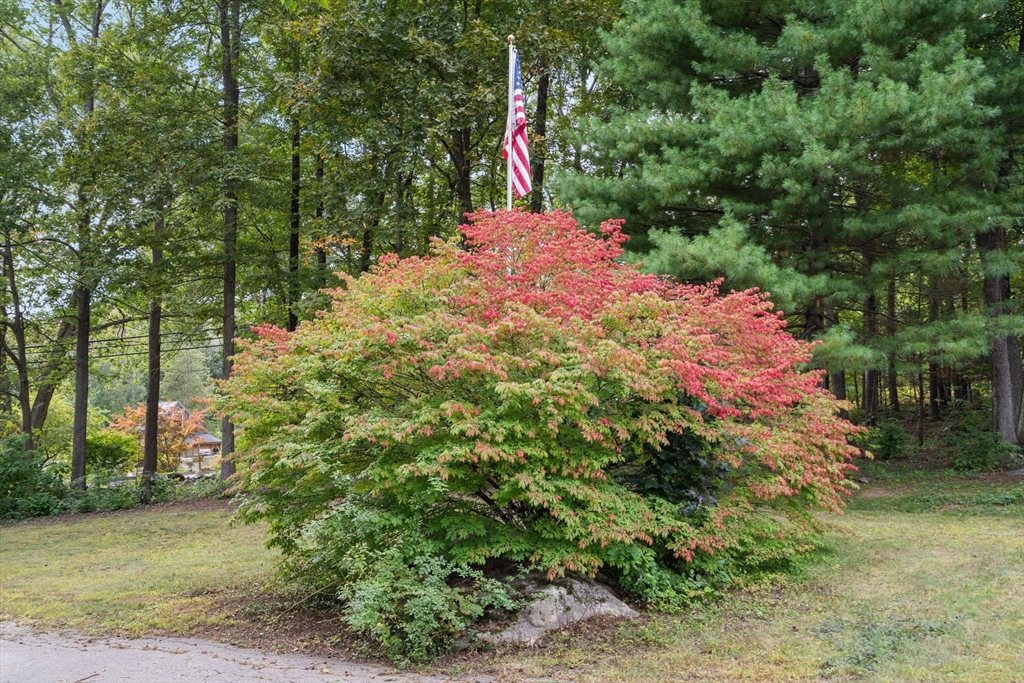 244 Mendon Street Blackstone, MA 01504 - Photo 39 of 40