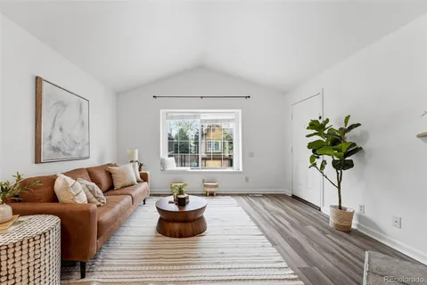 a living room with furniture and a potted plant