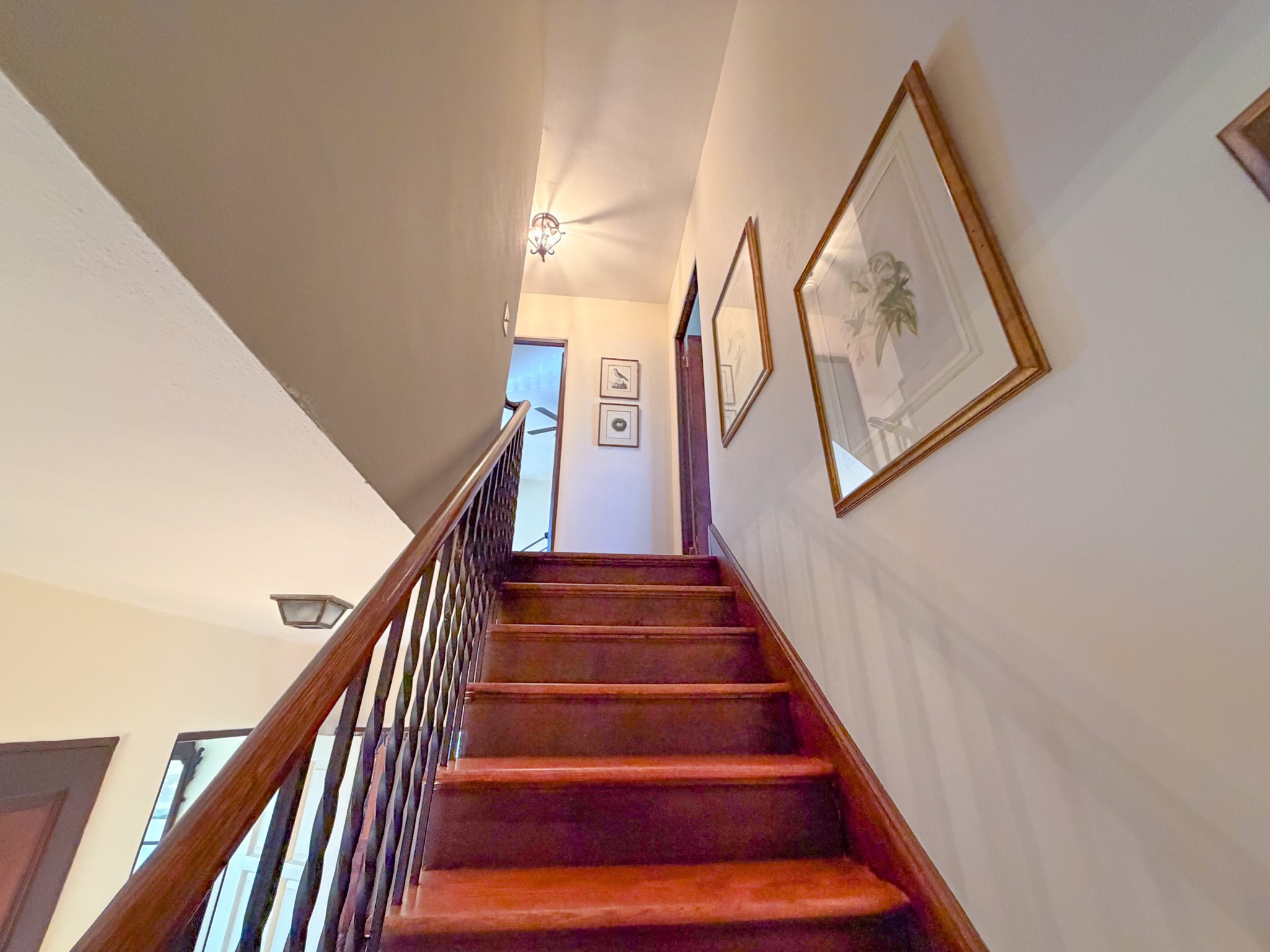 226 Rose Street Pulaski, TN 38478 - Photo 20 of 51 a view of staircase with wooden floor and a rug