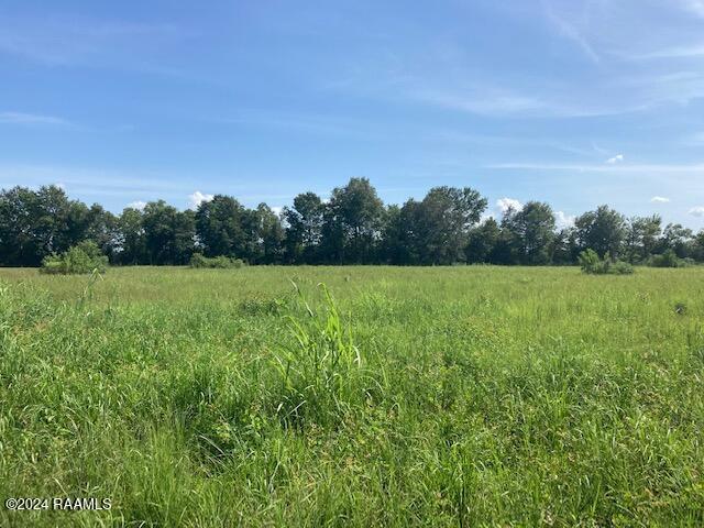 1 Rena Road Eunice, LA 70535 - Photo 2 of 4 IMG_2409