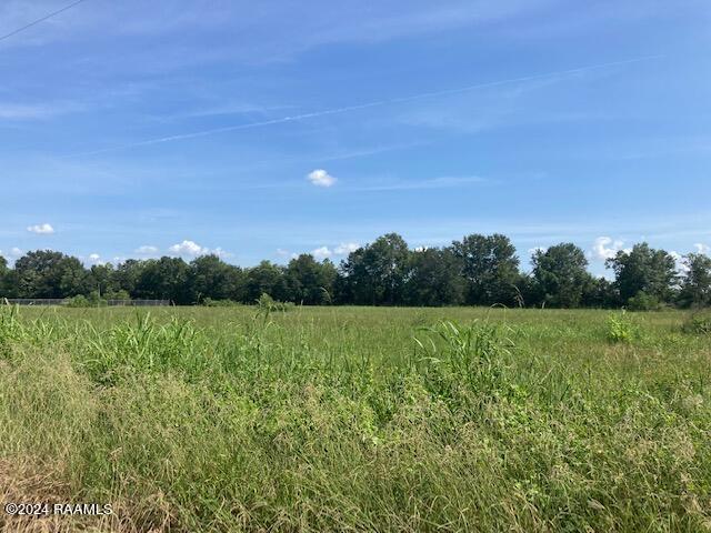 1 Rena Road Eunice, LA 70535 - Photo 4 of 4 IMG_2412