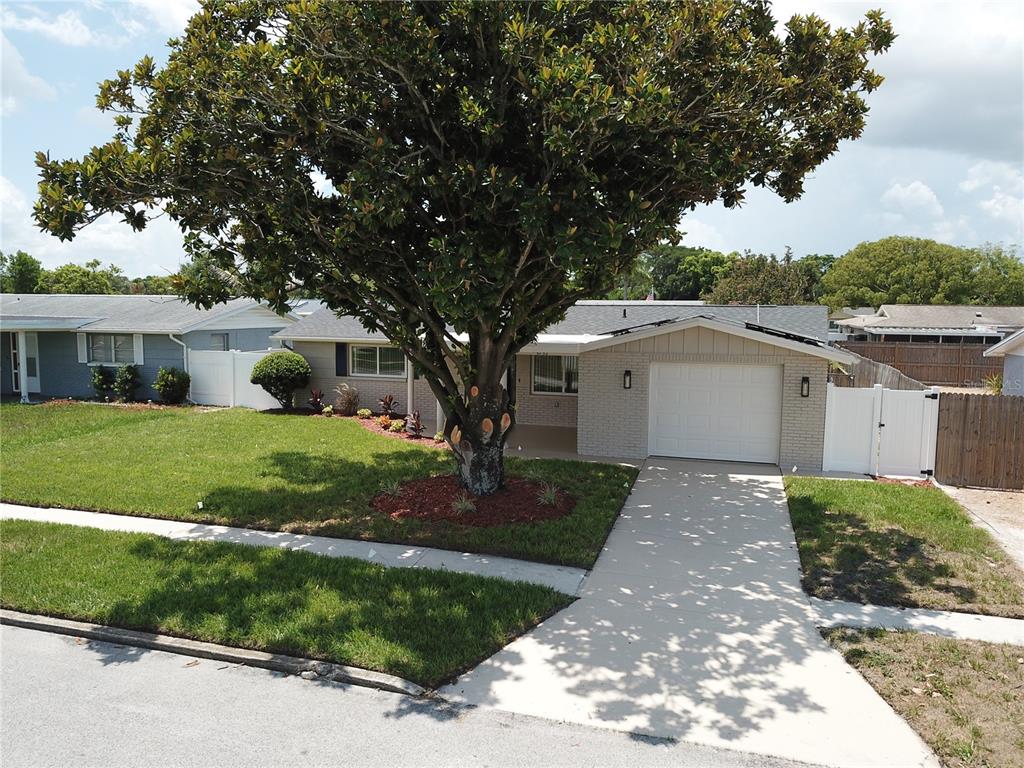 5752 Lanate Avenue New Port Richey, FL 34652 - Photo 6 of 33