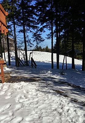 10 Powder Monkey Lane Snowshoe, WV 26209 - Photo 14 of 14 Gallery Image 14