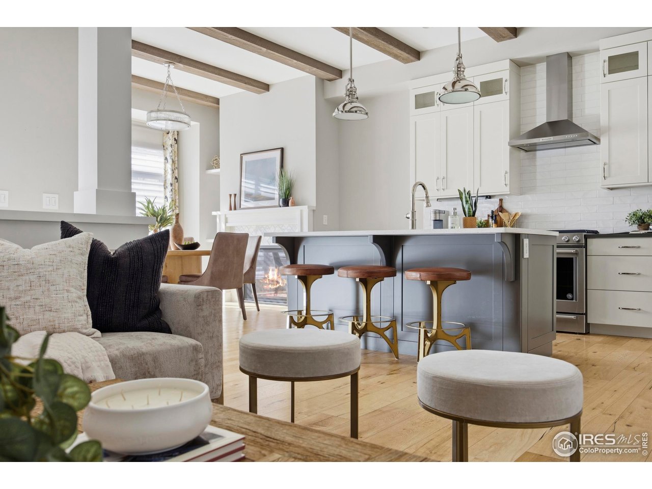 317 North Howes Street Fort Collins, CO 80521 - Photo 8 of 49