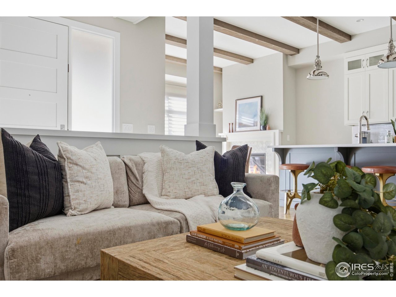 317 North Howes Street Fort Collins, CO 80521 - Photo 9 of 49