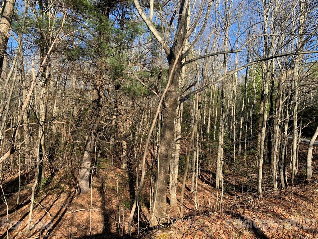 14 Liz Reece Road, Unit 14 Rosman, NC 28772 - Photo 11 of 17 Gallery Image 11