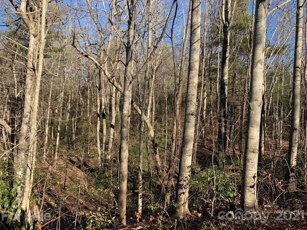 14 Liz Reece Road, Unit 14 Rosman, NC 28772 - Photo 12 of 17 Gallery Image 12