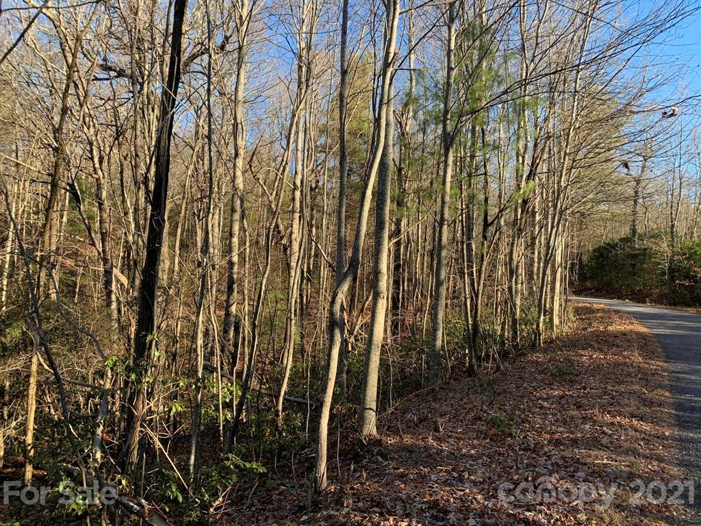 14 Liz Reece Road, Unit 14 Rosman, NC 28772 - Photo 13 of 17 Gallery Image 13